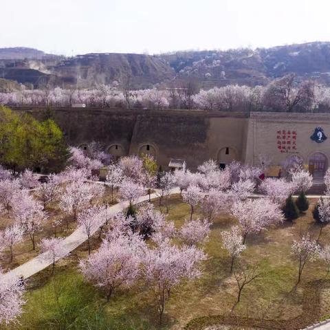 彭阳园林多措提升城市园林景观