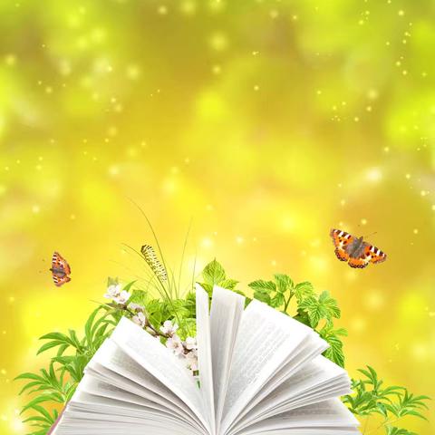 长葛市石固镇第一小学——“我的一本课外书”阅读分享（六年级）