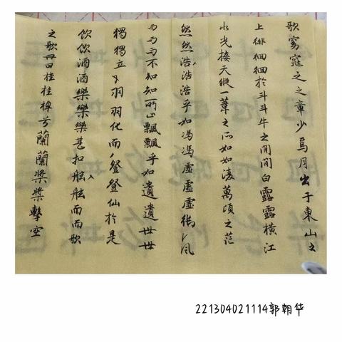 从零到有—国画专业书法课结课展