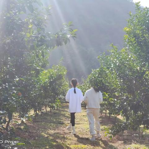 繁星流动，与你同路