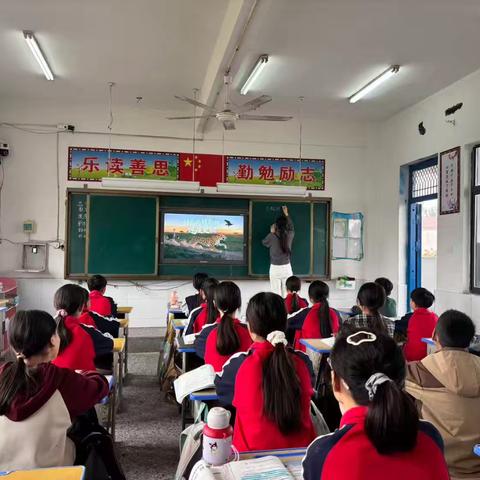 北岭镇刘集小学语文教研活动实践与成果