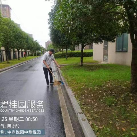 中鼎悦园物业6月第4周报