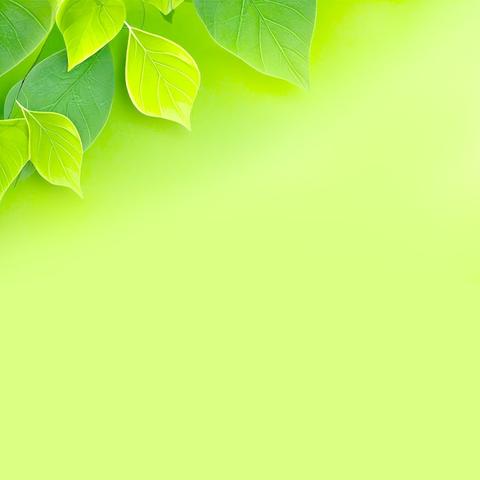 共护绿水青山 同筑团结家园——世界环境日的生态与民族交融实践