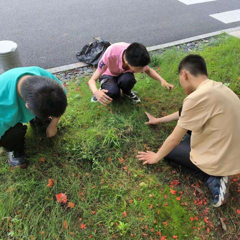 巧拔寸草 劳动展风采—义乌市星光实验学校职高段拔草记