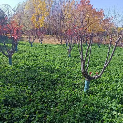 秋天不一样的美丽