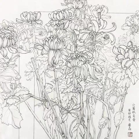 云山乱，晓山清 潘晶晶作品集