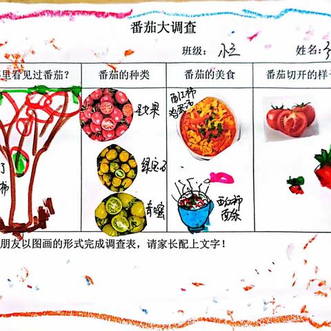 南京市浦口区实验幼儿园第一分园班本课程——你好！番茄