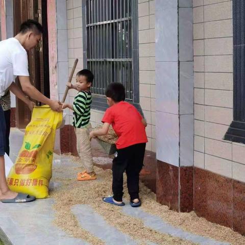 🌾“乡野丰收节”👣“学农实践活动”#龙潭镇希望幼儿园劳动实践活动