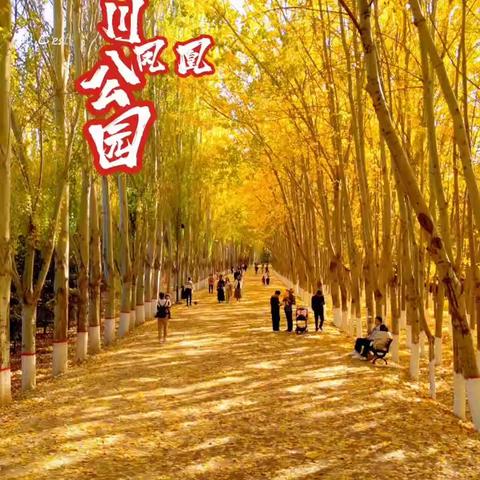 忆秋🍂 2023.11 劳动课