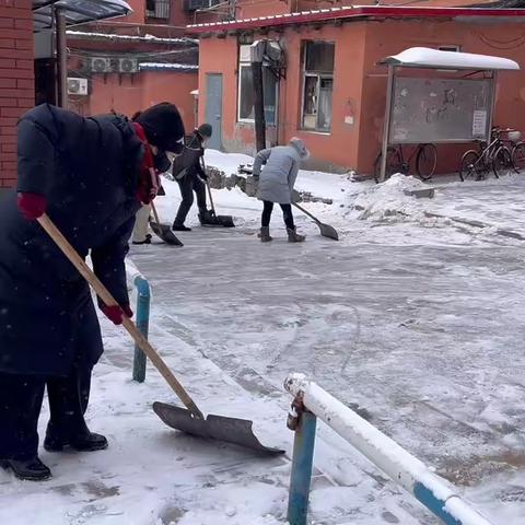 顺城区政协下沉社区清积雪 方便居民出行