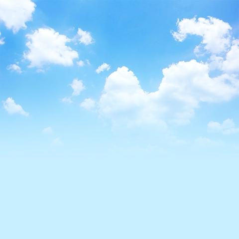 【崇明赏秋】一日采风活动纪实：芦花映霞雁齐飞，老少同游乐满途