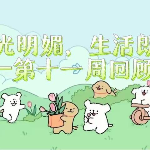 🌈阳光明媚 生活朗朗☀️——第十一周回顾