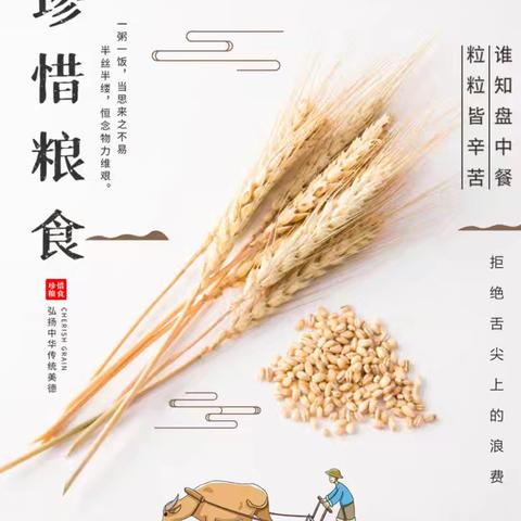 五中生活   健康美食|泸县五中一周菜谱