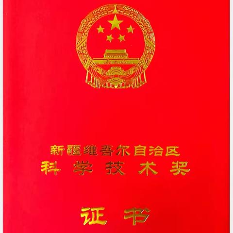 喜获省级科技三等奖！