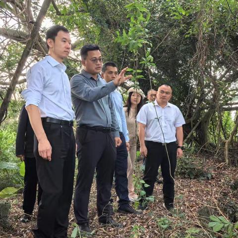 市委常委、宣传部长、市级副林长华晓东深入石山火山群国家地质公园开展巡林