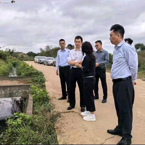 市委常委、宣传部长、市级副林长华晓东深入石山火山群国家地质公园开展巡林
