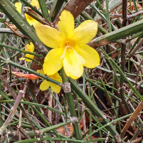 领郡学府奔跑的蜗牛的简篇