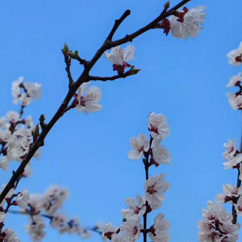 领郡学府奔跑的蜗牛的简篇