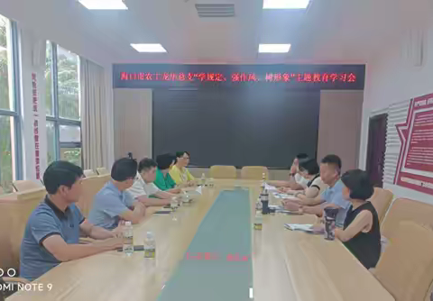 农工党龙华总支召开“学规定 强作风 树形象”主题教育学习会