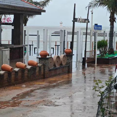 🧚‍♂️🧚‍♂️周末相聚东水港🧚‍♂️🧚‍♂️