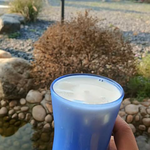 日记打卡第二天–营地里的风