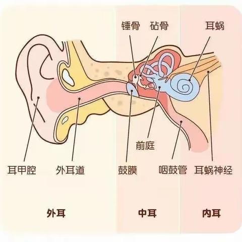 园林天骄幼儿园——“爱耳护耳，聆听美好”（副本）