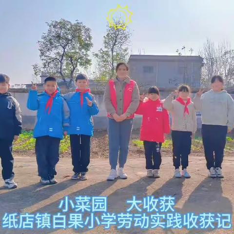 纸店镇白果小学 劳动实践收获记