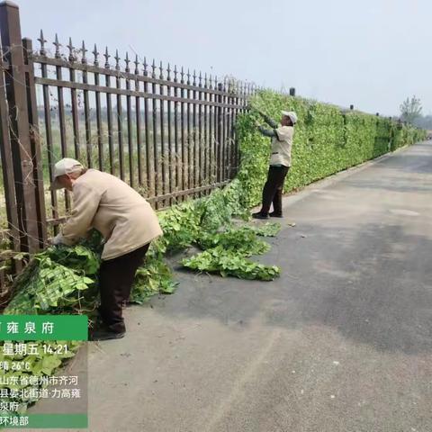 园区围墙专项清理