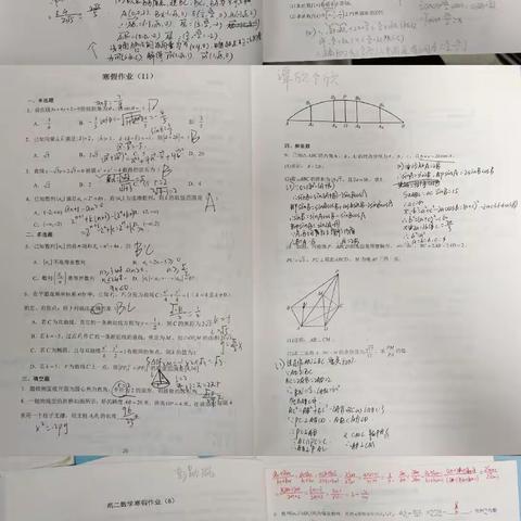 高二7班优秀寒假作业展示