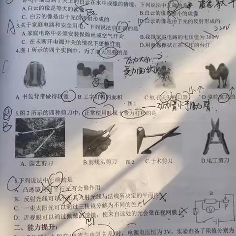 寒假作业第11次12次讲解视频 子君老师