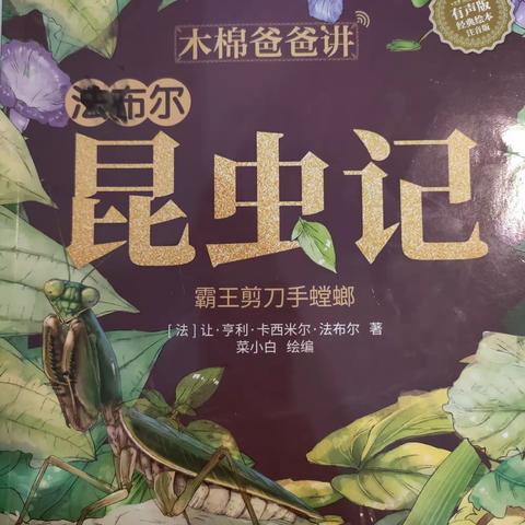 一年级10班阅读时光-昆虫记