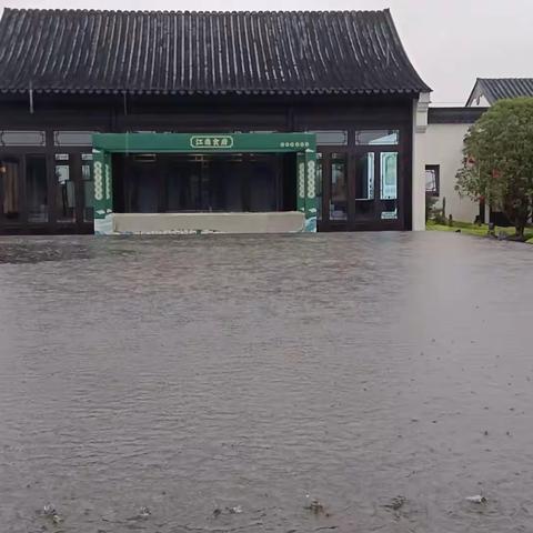 芳华听雨舞动人生