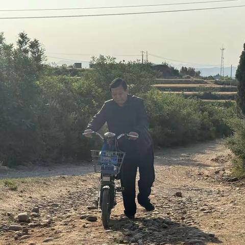 新年祝福 祥龙辞岁 金蛇贺春