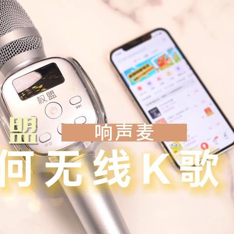 权盟响声麦教程（2）