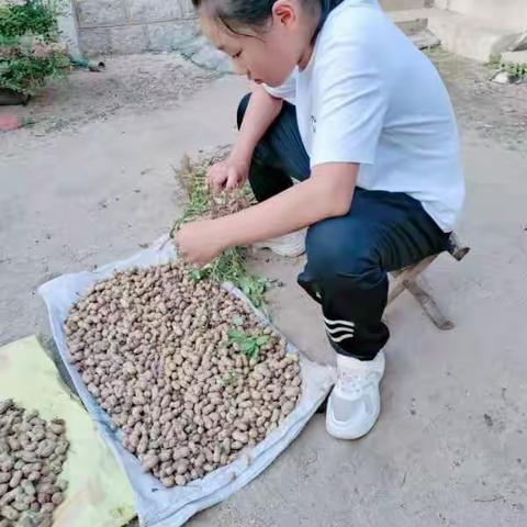 家风如雨 滋润童心——新泰市龙池中学李项嘉