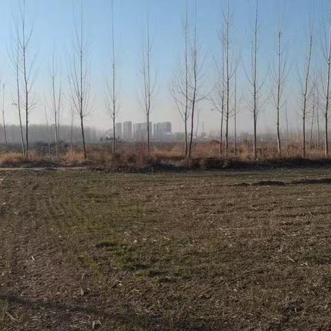 廊坊市文安县大柳河镇 1月2日秋冬防准备重点工作落实情况