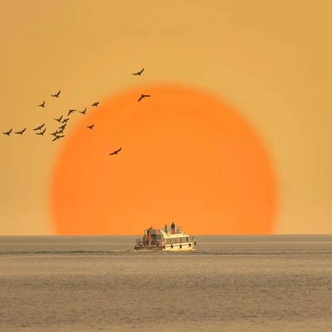 追星赶月莫停留 ‍——六年八班第九周与您沟通