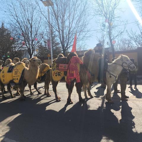 福源康养伴驼行 淳风乡情暖旅途