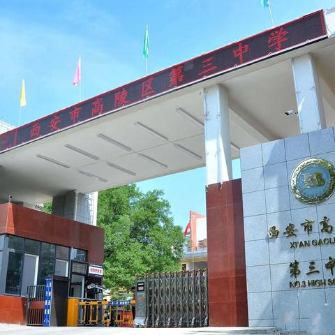 巾帼绽芳华，乒搏展风采 ‍——西安市高陵区第三中学教职工乒乓球赛精彩回顾