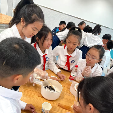 【林海实验·教学】高年级项目式学习 —师恩如茶 香甜满“溢”