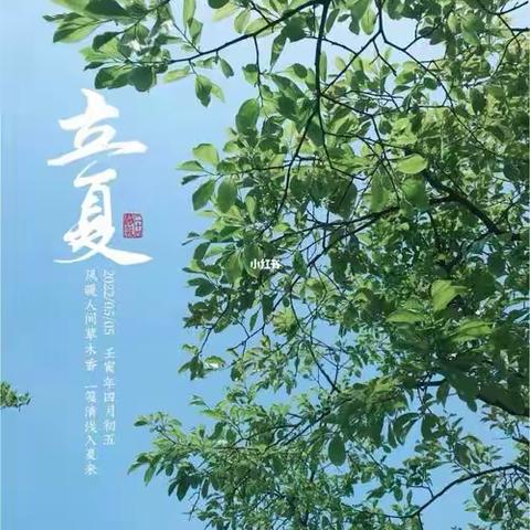 春尽日，立夏至——绿地儿童之家大二班