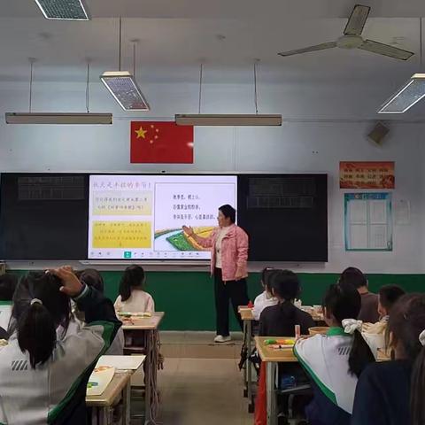 谋篇布局启新程 ﻿五真教研润劳育 ———三河湖实验学校劳动学科教研纪实