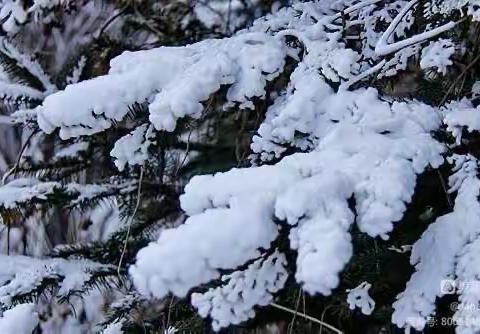 暴雪预警  家园同防——灰姑娘幼儿园预防暴雪致家长一封信