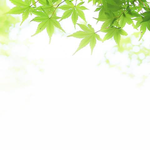 九寨沟：自然的调色盘