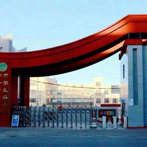 格桑花开 洒满高原