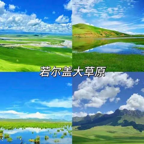 爱上若尔盖