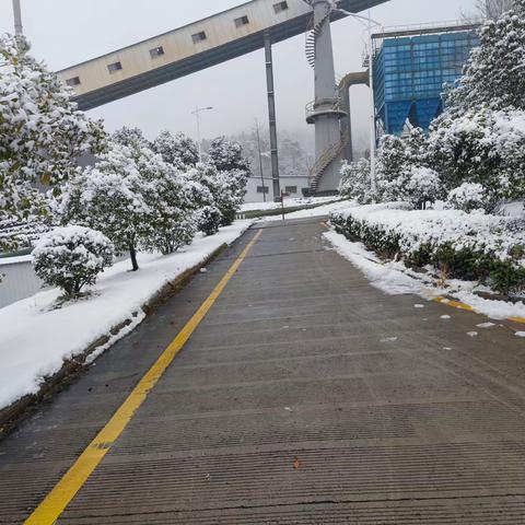 厂区大扫雪，让我们一起行动