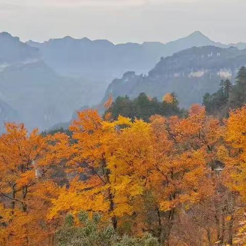 秋游小记（20251028-1108）（副本）