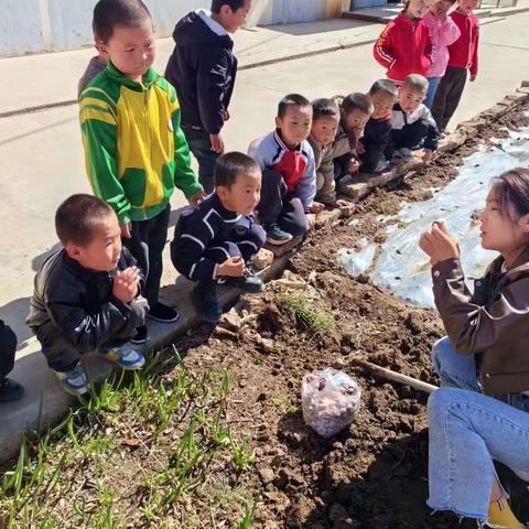 魏家幼儿园劳动实践活动