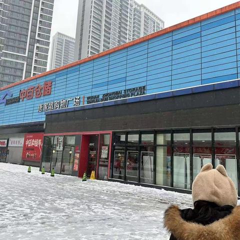 唐家墩市场监管所积极发挥职能作用妥善应对雨雪冰冻天气